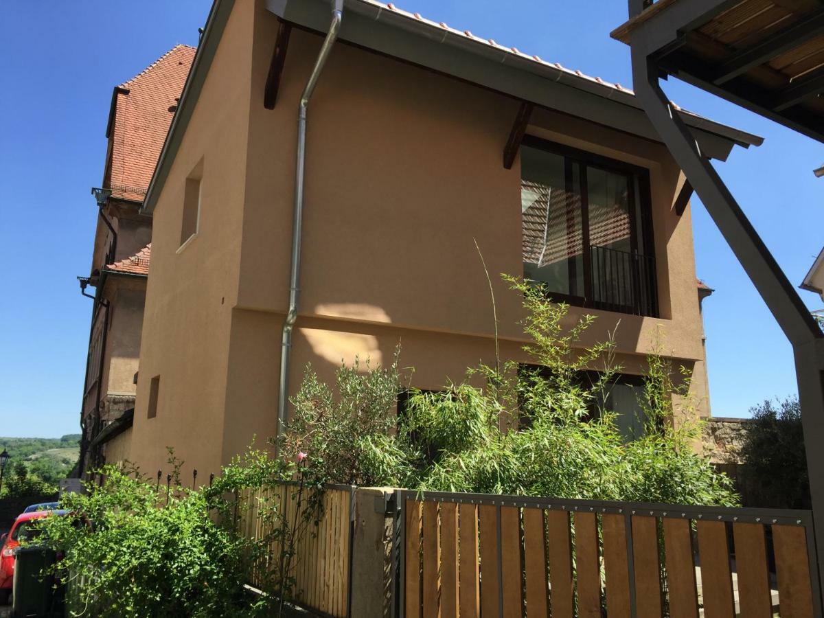 Apartment Am Schlosshof Besigheim Ngoại thất bức ảnh